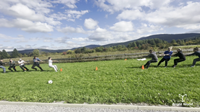 galleryimg10934